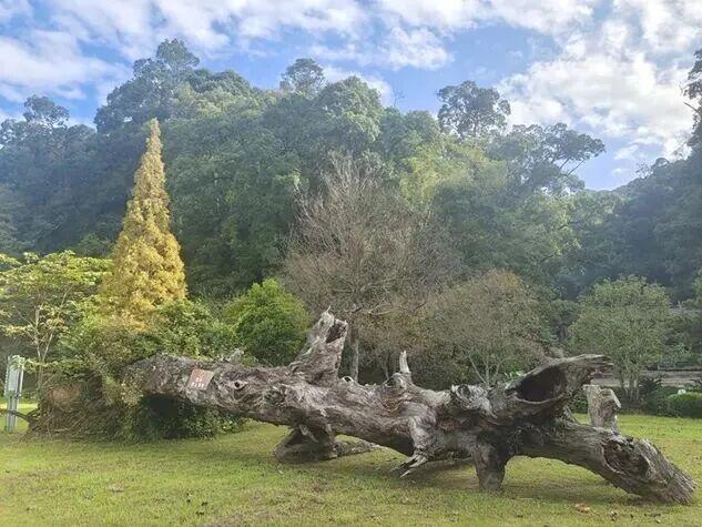 跟着演唱会游三明 | 听劝！去三明看演唱会，一定要留2天解锁这些神仙玩法～