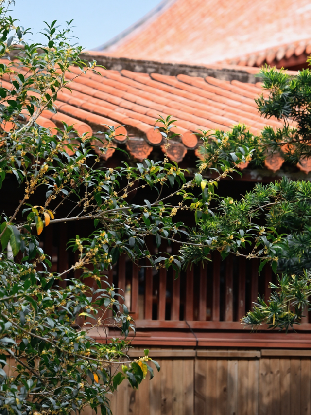 破案了！西街飘散的香味，源头竟然在开元寺