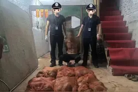 数百只乌龟不翼而飞？民警4小时破案！图片