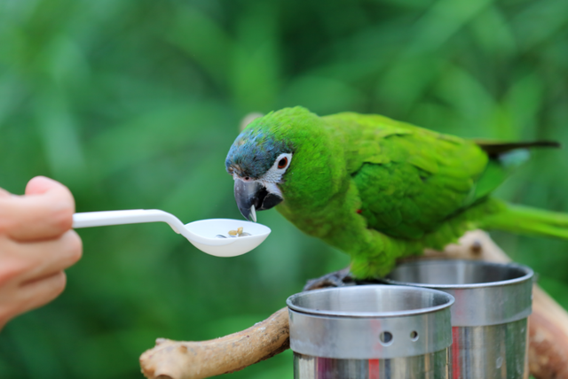 元旦去丰台，全家一键解锁冬日微度假小确幸——