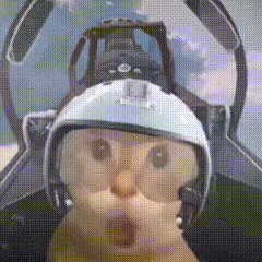 看完中国大学生手搓轰炸机，爱刷抖音的美国人天塌了。