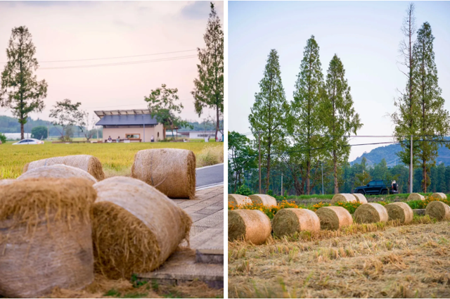 杭州的秋，一半都藏在这些村子里！