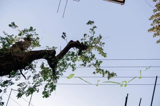 上海最美不过愚园路