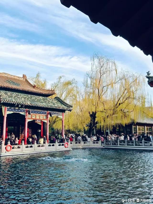 冬日趵突泉，寒风中美景依然