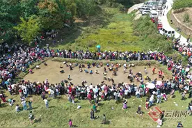 吃野果、捉泥鳅、秀民俗……云南西盟边境乡村游趣味十足图片