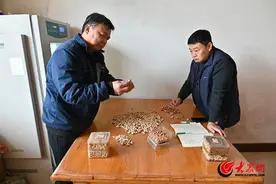 产学研结合 育繁推一体  平度市南村镇花生良种走俏全国图片