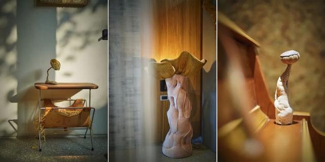 来东城这个胡同小院，邂逅蘑菇精灵的童话秘境——