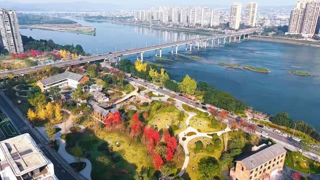 初冬限定！乐山这座公园里藏着一抹 “心动红”，拍照超出片！