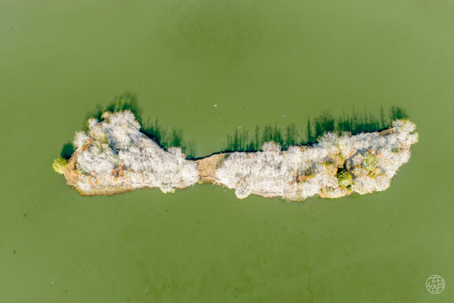 东湖冬日必打卡！观「雪」景、赏秋色、追落日！