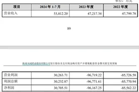 财说 | 疯狂炒作之下，双成药业重组后能成为A股芯片设计“一哥”吗？图片