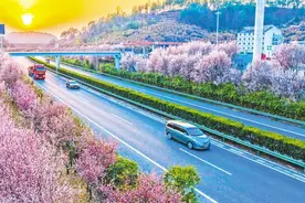 清明错峰出行 高速通行费“享五折”图片