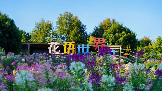 国庆特辑｜这个假期，来一场奇绝鹰潭逍遥游！