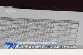 为700余名主播偷逃税3200余万元！这家MCN机构被查图片