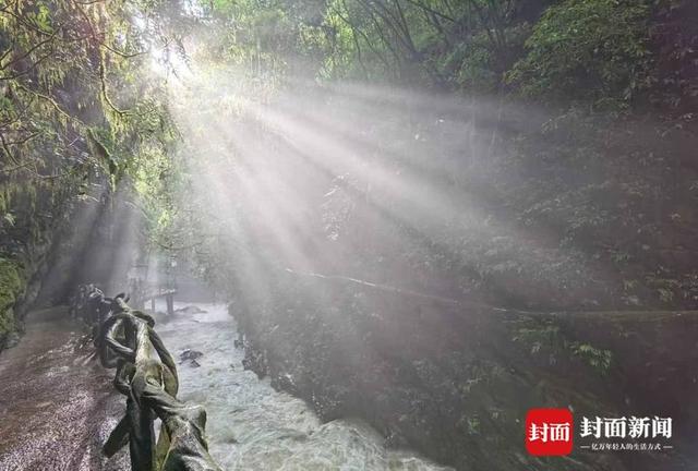 巴山大峡谷：这本“地质教科书”其实是本“人生说明书” | 创5A·巴山大峡谷更好玩