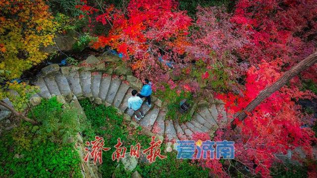 一年四季 泉在济南 | 国庆秋游新“趣”处，在九如山，把秋天“带”回家