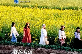 早安赣州｜请规范停车！4月1日起集中整治图片