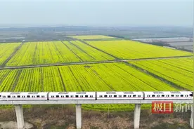 “开往春天的列车”——武汉地铁16号线穿行于油菜花海图片