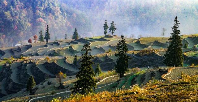 重庆酉阳：霜落梯田 晨景如画