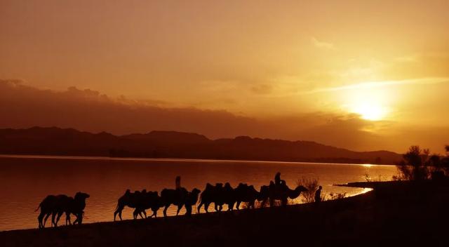 “东天山来的骆驼队”抵达武威啦！你最期待哪一站？