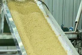 普定县：小麦摇身一变成水磨面图片