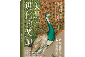 什么是美？看清美和艺术的原真面目图片