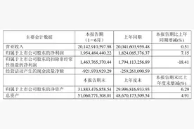 中天科技：2023年上半年净利润19.54亿元 同比增长7.15%图片