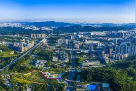深圳市光明区首推“大众点评”式人才综合服务平台，以“小平台”……图片