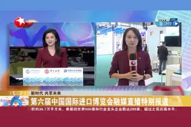 小鸡分公母鉴别难度大 智能化设备3秒就能完成图片