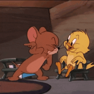 “紫荆之友·幸福联线”第二期上线！这次来玩猫抓老鼠→