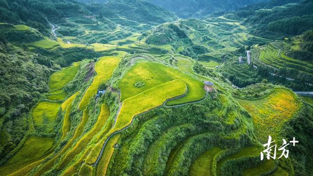 9月20日，来连南“穿越神秘瑶排，遇见最美梯田”→