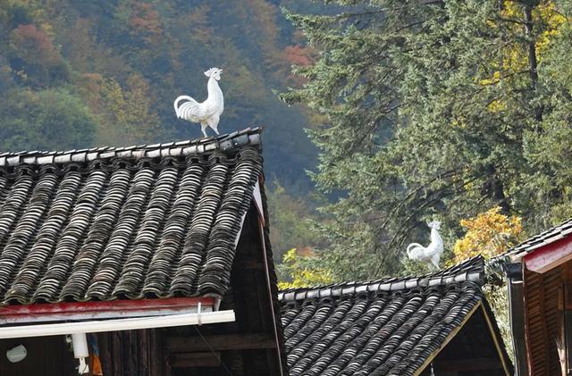 乐游绵阳 清凉一夏 ‖ 去平武！寻迹四极秘境 一步跨越千年！