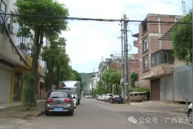 南宁隆安一养蛇场逃出大量眼镜蛇？最新回应：传言有不实之处图片