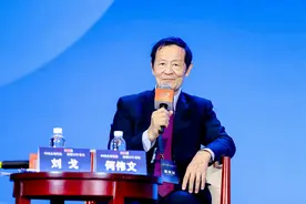 何伟文：2035年中国进入中等发达国家行列，光靠工业不行图片