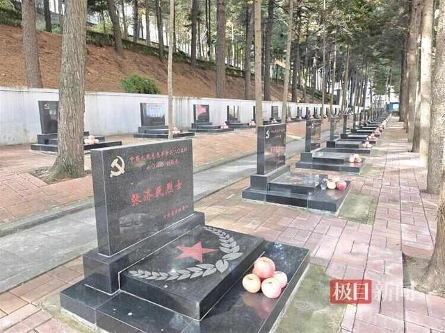 男子带1650个苹果到抗美援朝烈士陵园