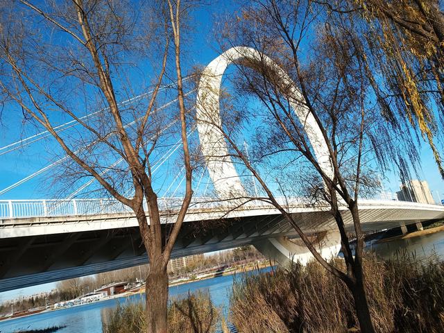 别再问周末去哪了！郑州这些宝藏公园不可错过→