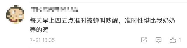 “被滋了一脸，还舔了舔……”近期很多人中招已崩溃！不是雨！不是空调水！专家提醒