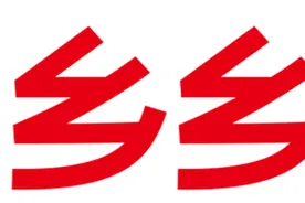 乡乡嘴虎皮豆干，为豆干行业创新注入“新动能”图片