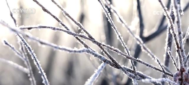 多地冬日美景激发冰雪活力 “冷”资源点燃文旅市场“热”消费