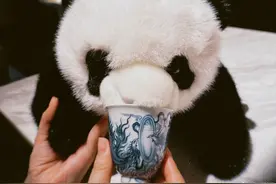 赵丽颖收到林更新在成都给她买的熊猫玩偶：就等神君照顾了图片