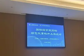 关注绿色议题，“国际经贸规则的绿色化重构和上海应对”研讨会举行图片