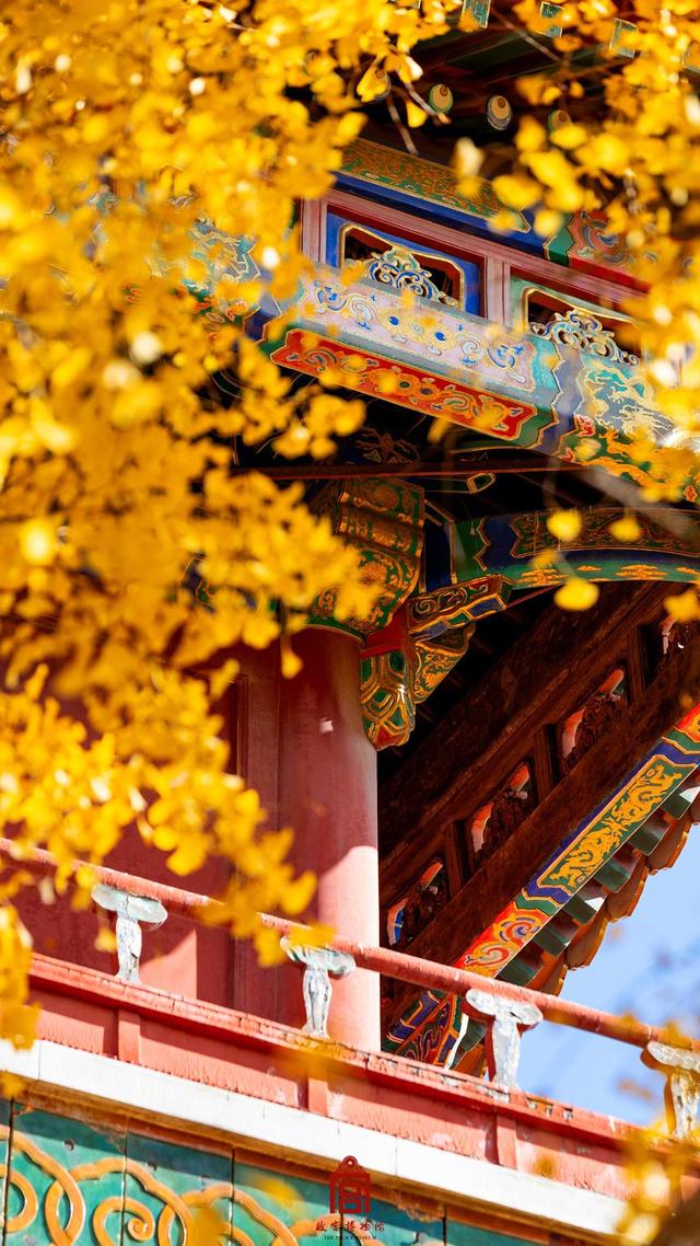 转发收藏！故宫初冬鎏金壁纸上新了