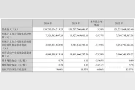 长安去年净利润跌35%！价格战下“增收不增利”图片