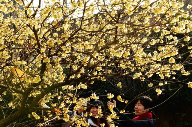 “冬游保康”，藏着整个冬天的浪漫与温暖