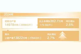 我国夏粮获得丰收（新数据 新看点）图片