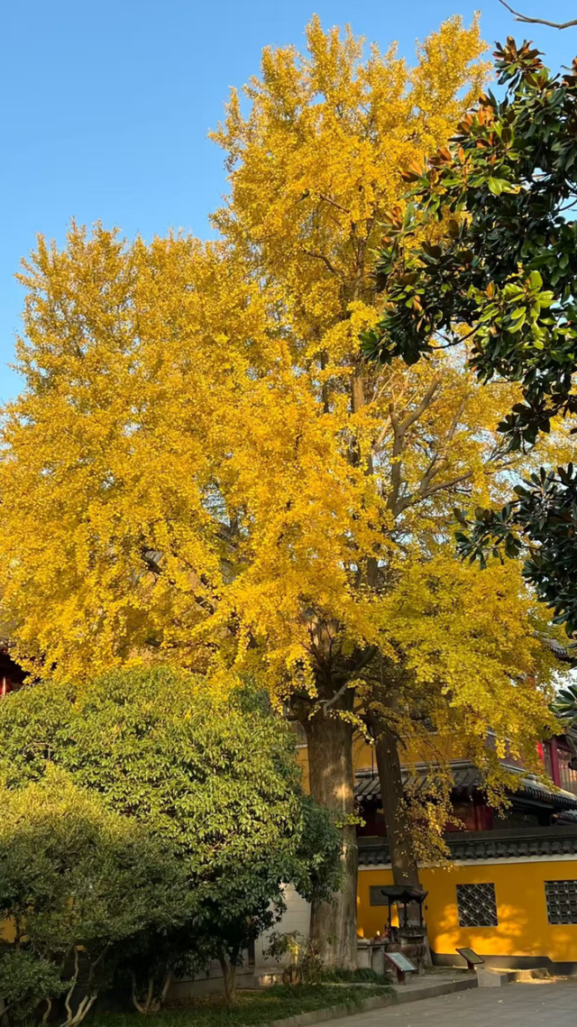 镇江，你变了！