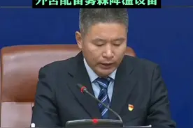 济南动物园新建大熊猫馆将于国庆节前开馆，“华奥”“雅吉”两只大熊猫将乔迁新居，内舍配备中央空调，外舍配备雾森降温设施。图片