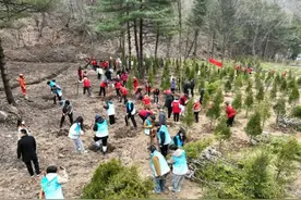 山河万物复　植绿正当时图片
