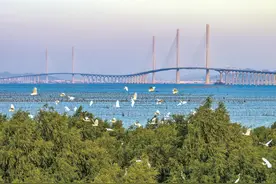 “通”向湾区核心 江门驶入均衡发展“快车道”图片