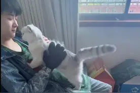 上门喂宠兴起，你会为流动“铲屎官”买单吗？图片