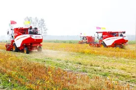 改革潮涌西海岸｜“六位一体”绘就共富新“丰”景图片